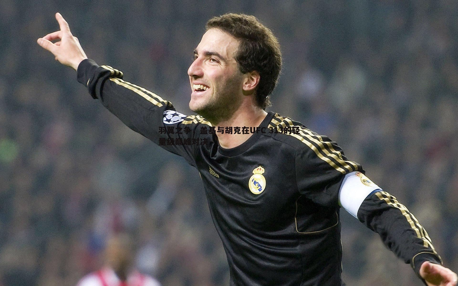 羽翼之争,盖基与胡克在UFC 313的轻量级巅峰对决