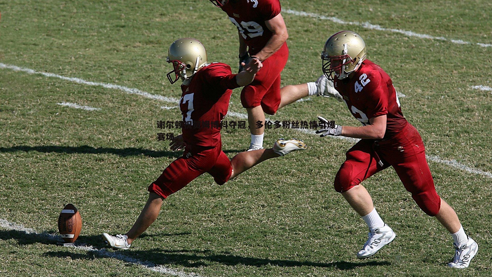 谢尔顿祝贺姆博科夺冠,多伦多粉丝热情引爆赛场
